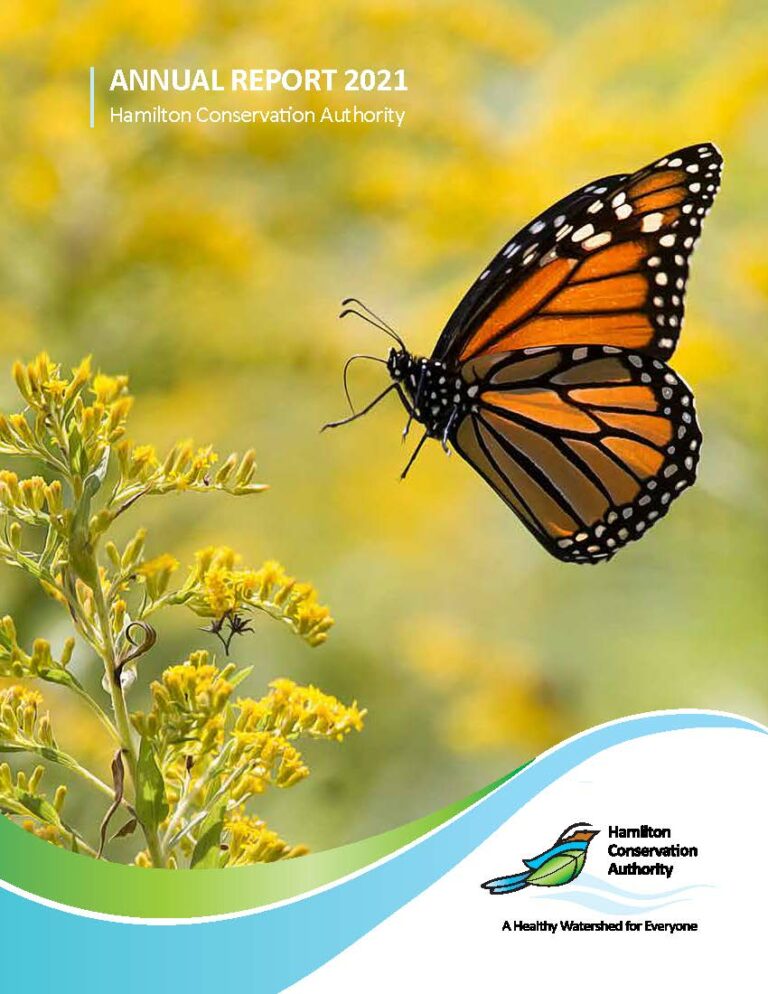 Annual Report 2021_Page_01