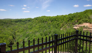 Read more about the article Your Guide to Visiting the Spencer Gorge