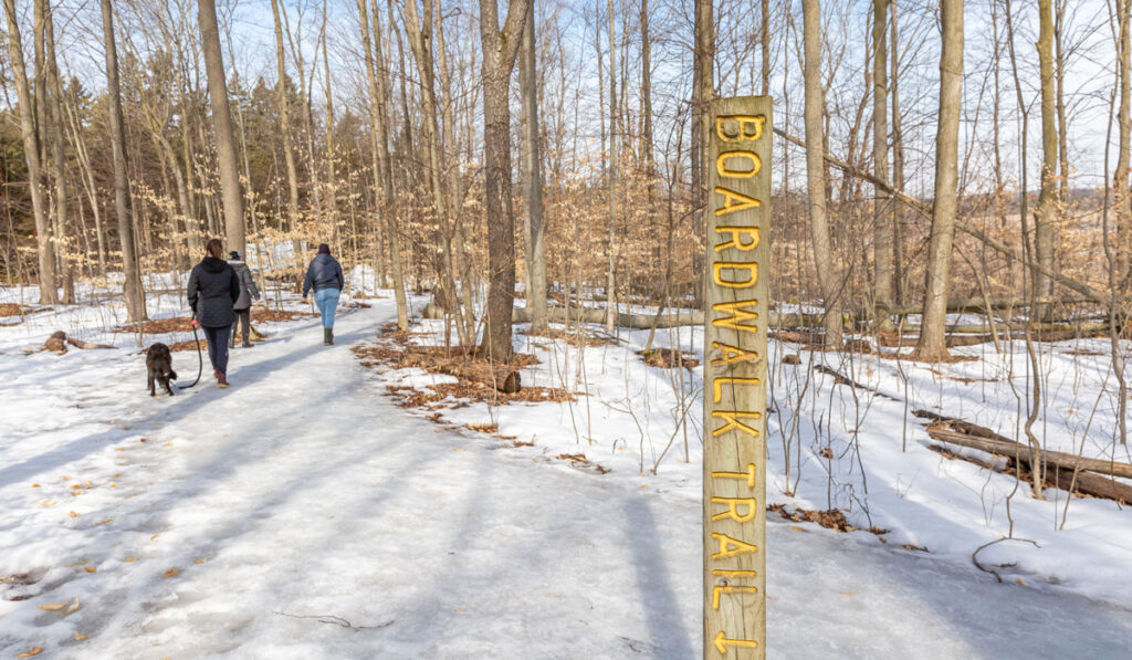 Winter safety blog 2