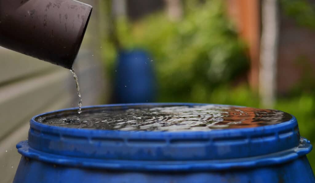 Benefits of a Rain Barrel Hamilton Conservation Authority