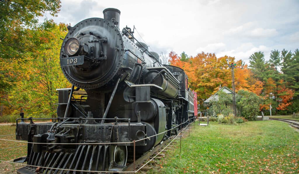 WHV Train Blog 2