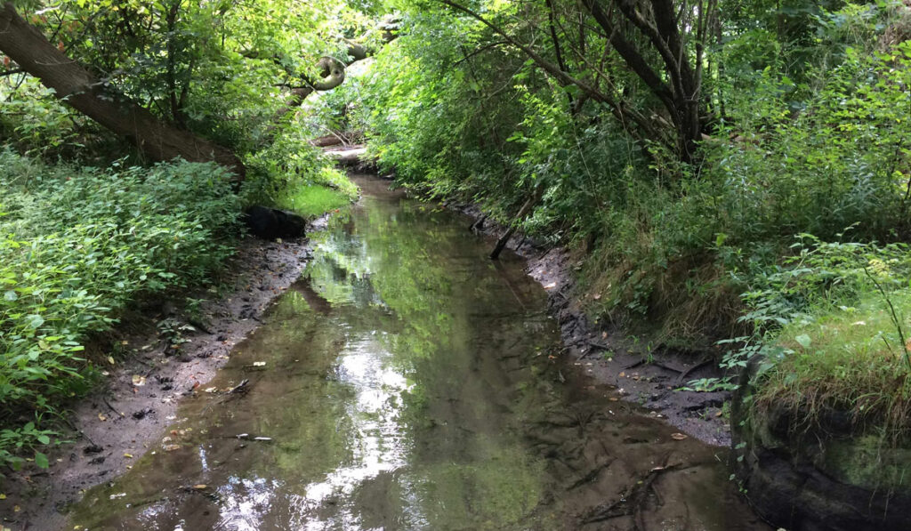 Stewardship Blog
