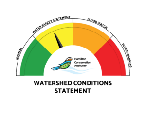 Read more about the article Watershed Conditions Statement – Water Safety – Inland Lake & River Flooding – March 21, 2025