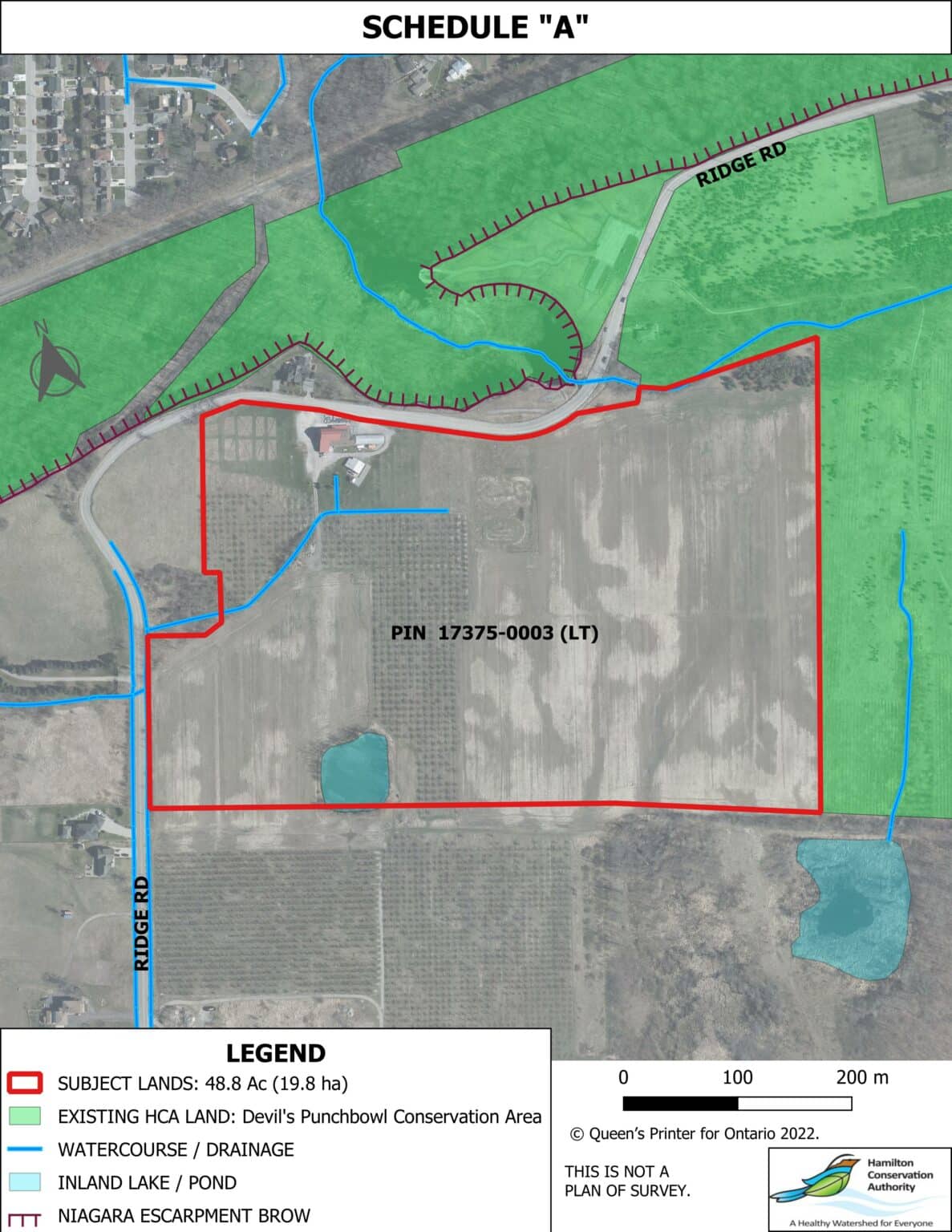 Federal Funding Success for Saltfleet Conservation Area Wetland ...