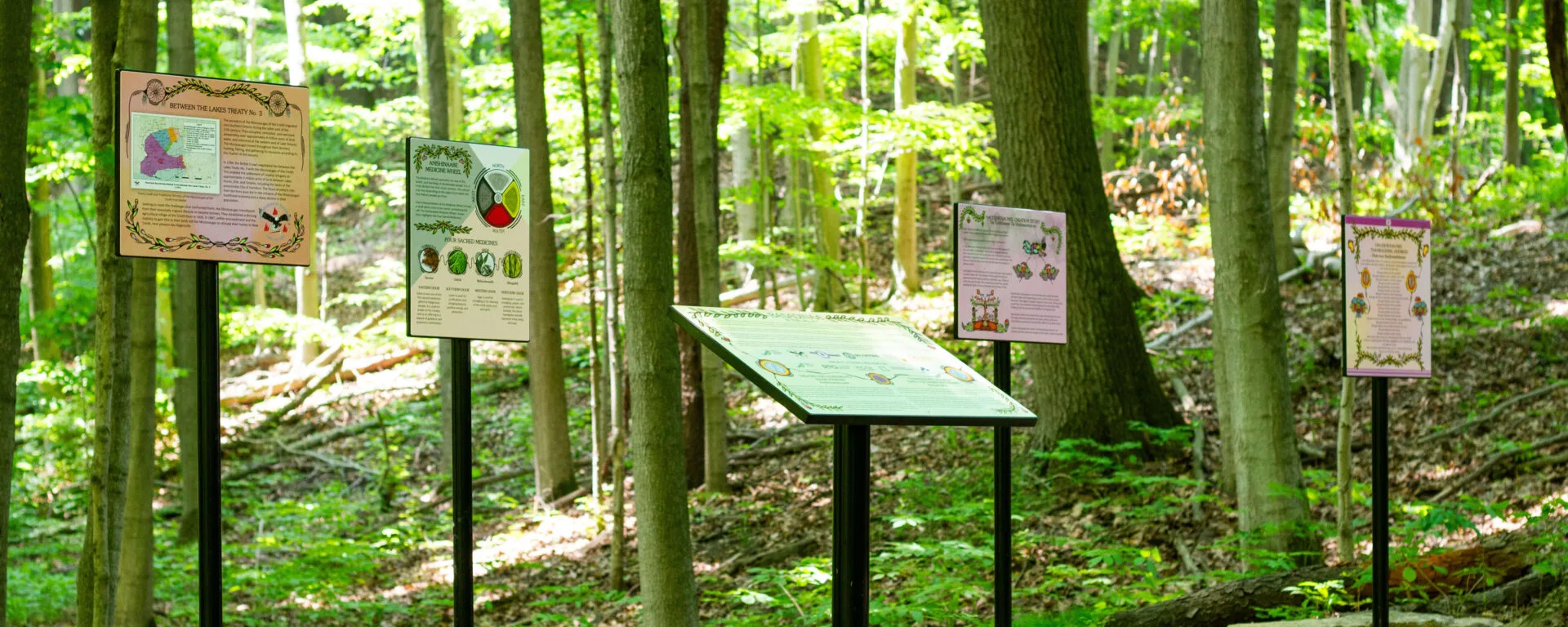 Five interpretive panel signs in a luscious green forest .