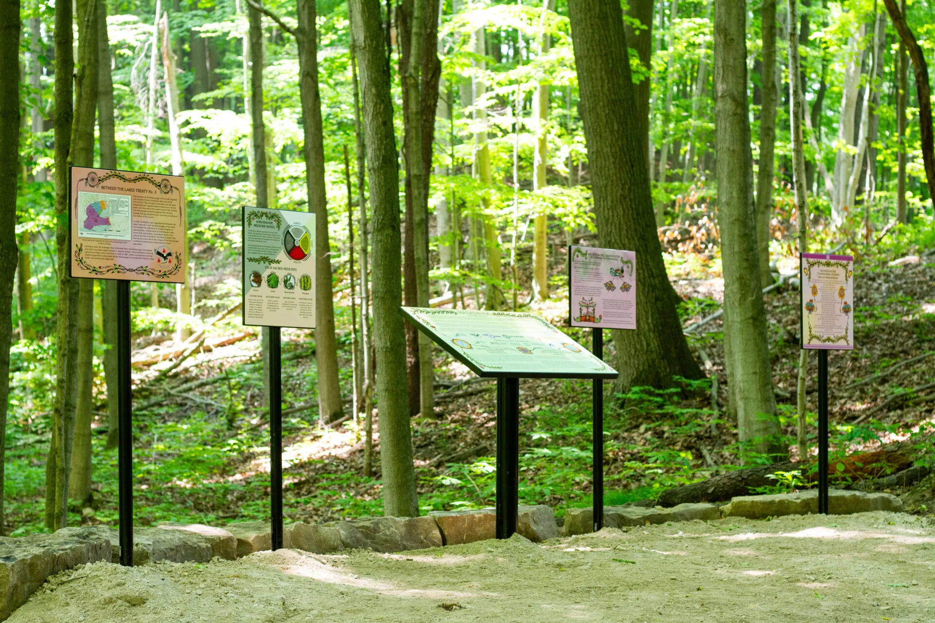 Five interpretive panel signs in a luscious green forest .