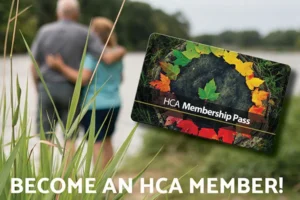 Lakeland Pool photo 3