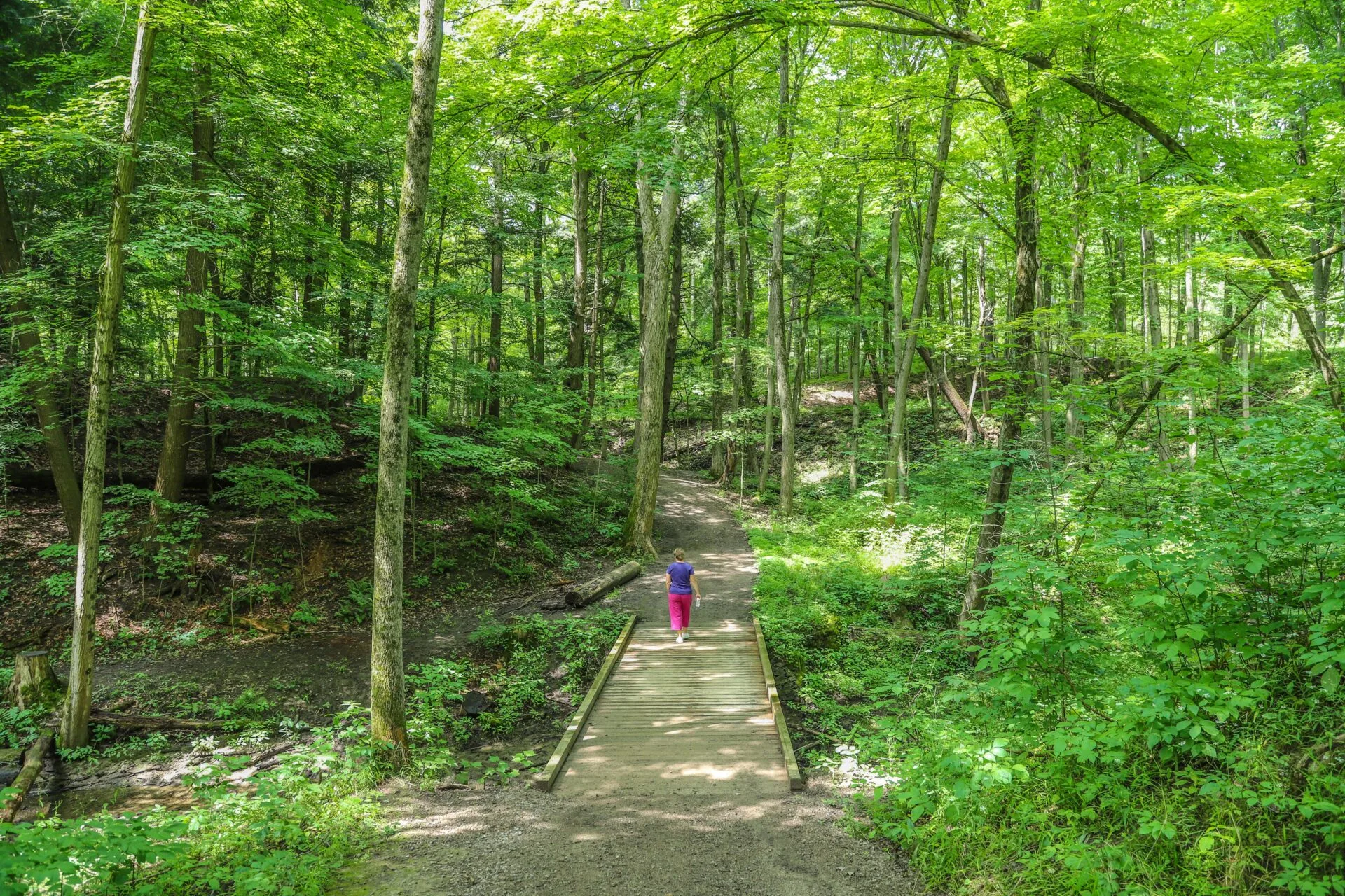 Woman walking in the distance over a bridge in a summer lush green forest.