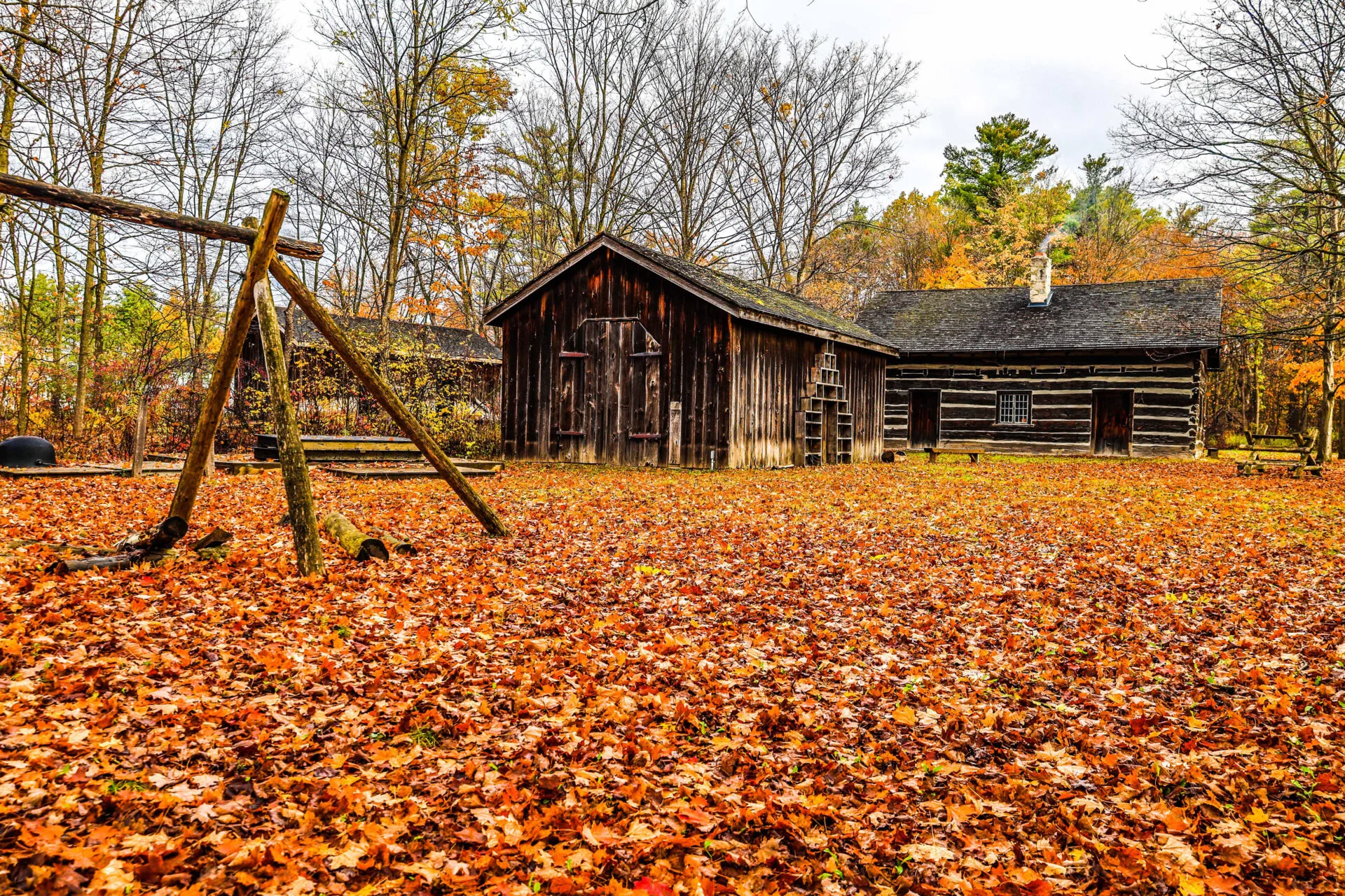 Colourful fall leaves cover the ground with two wood historical buildings in the background.