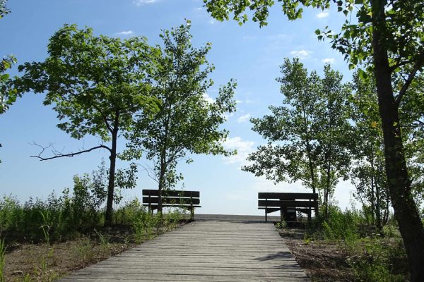 Fifty Point BEach Summer Blog
